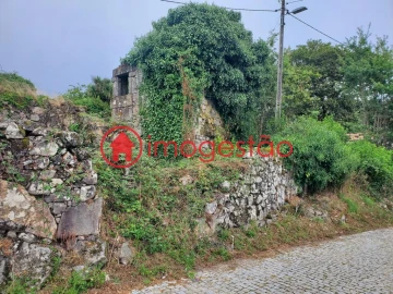 Quinta T0 para Venda em Loivo