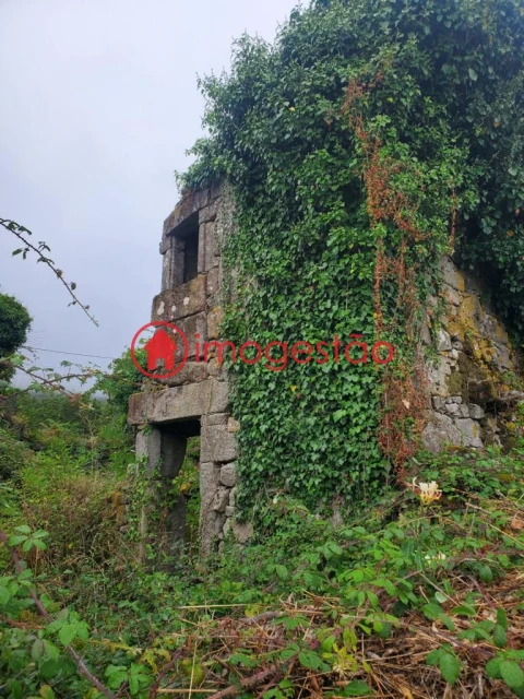 Quinta T0 para Venda em Loivo