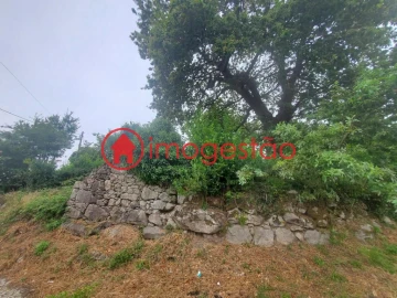 Quinta T0 para Venda em Loivo