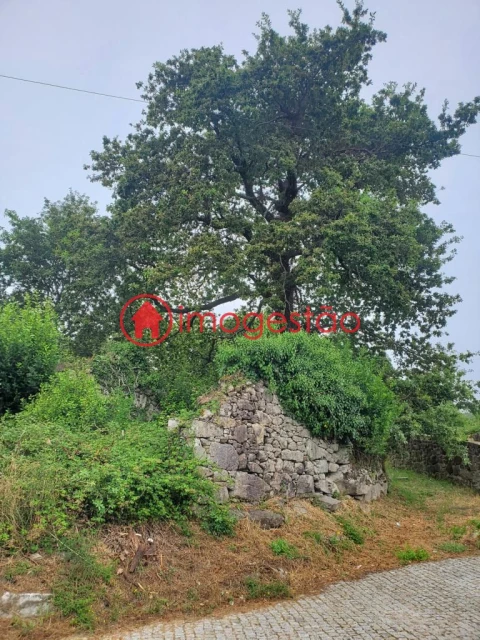 Quinta T0 para Venda em Loivo