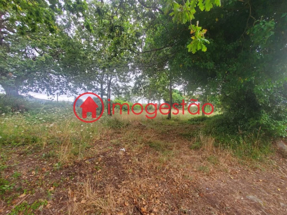 Quinta T0 para Venda em Loivo Foto 15