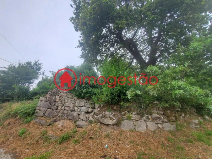 Quinta T0 para Venda em Loivo Foto 11