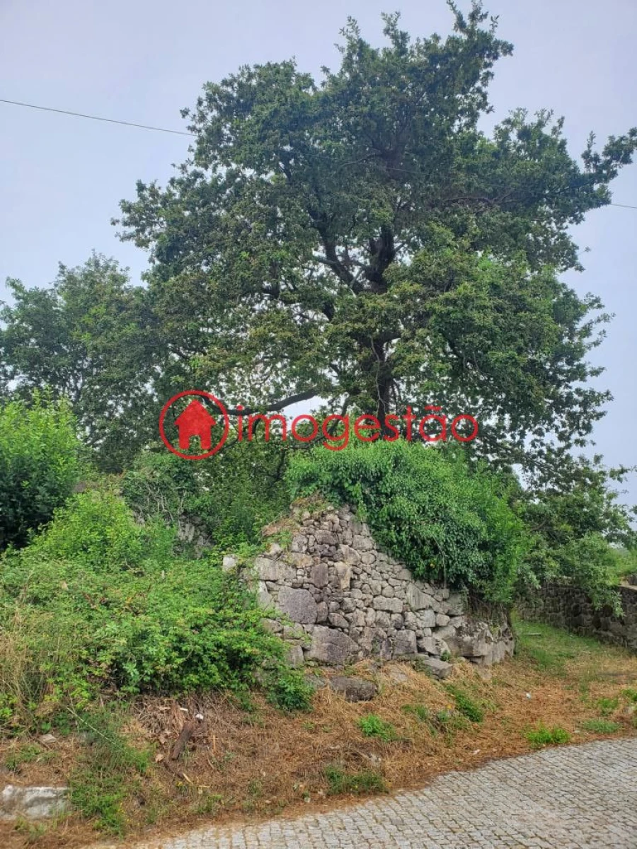 Quinta T0 para Venda em Loivo Foto 9