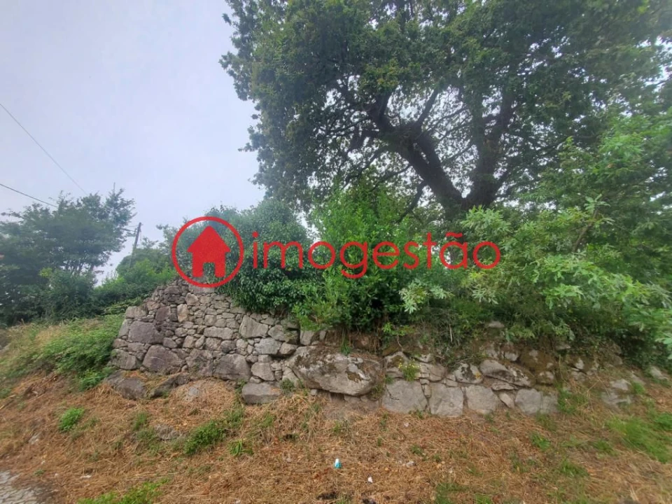 Quinta T0 para Venda em Loivo Foto 11