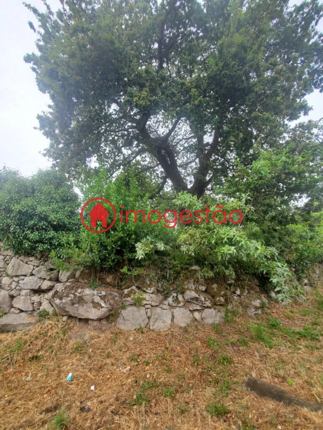 Quinta T0 para Venda em Loivo Foto 10