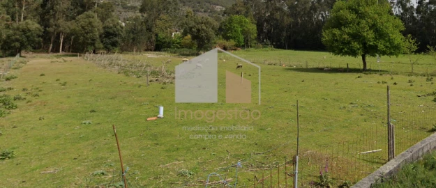 Terreno para Venda em Caminha (Matriz) e Vilarelho