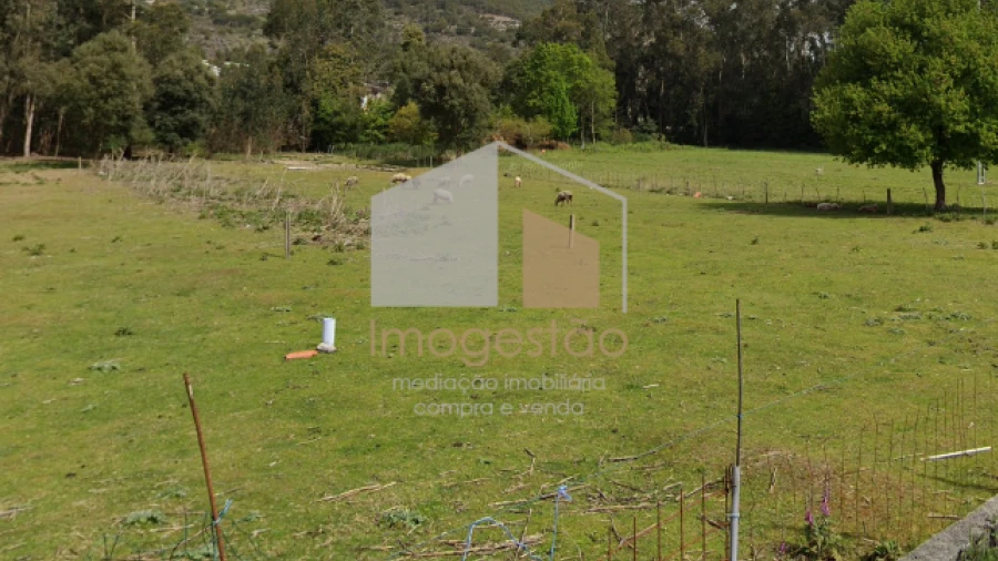 Terreno para Venda em Caminha (Matriz) e Vilarelho