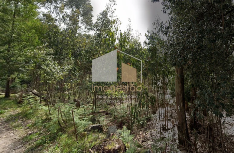 Terreno para Venda em Caminha (Matriz) e Vilarelho Foto 6