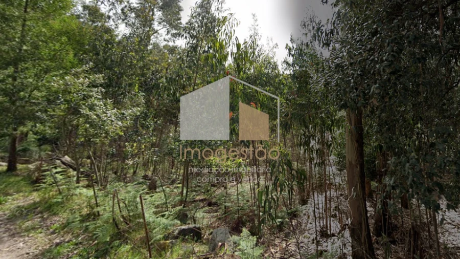 Terreno para Venda em Caminha (Matriz) e Vilarelho