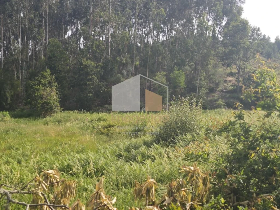 Terreno para Venda em Sapardos Foto 13