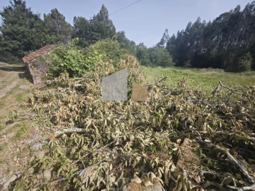 Terreno para Venda em Sapardos