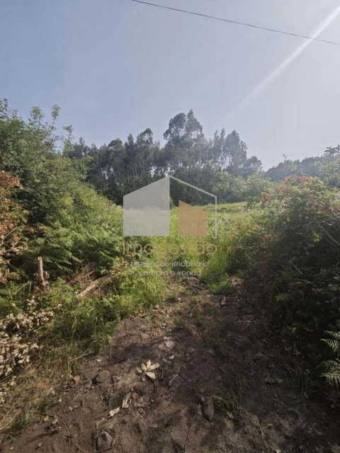 Terreno para Venda em Sapardos