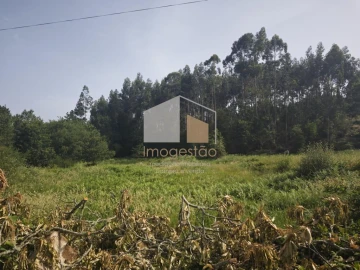 Terreno para Venda em Sapardos