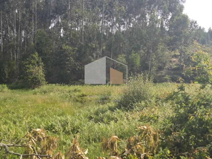 Terreno para Venda em Sapardos Foto 13