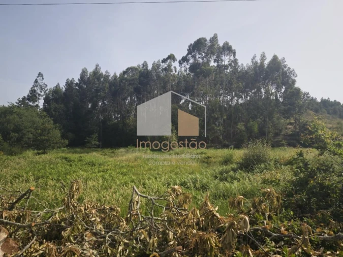 Terreno para Venda em Sapardos Foto 9