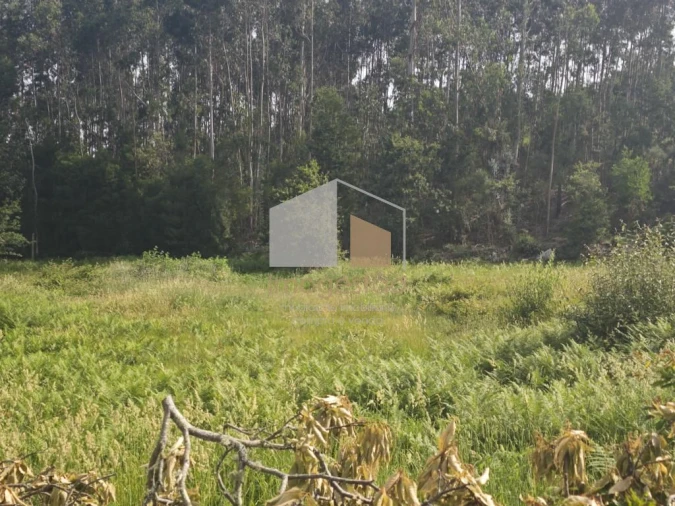 Terreno para Venda em Sapardos Foto 11