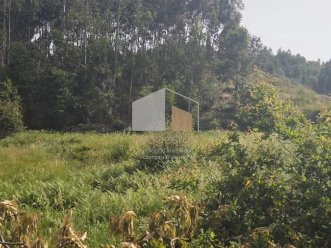 Terreno para Venda em Sapardos Foto 14