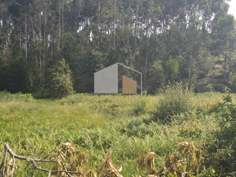 Terreno para Venda em Sapardos Foto 12