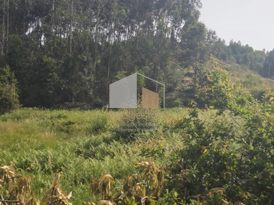 Terreno para Venda em Sapardos Foto 14