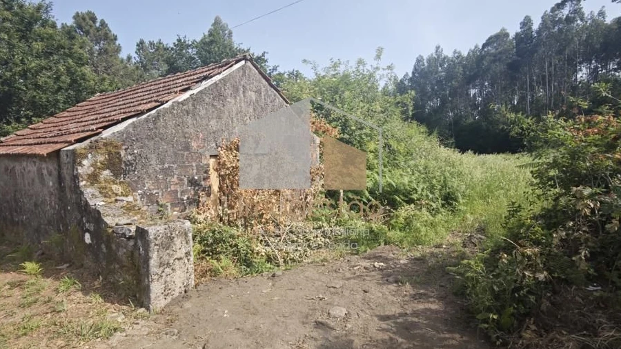 Terreno para Venda em Sapardos