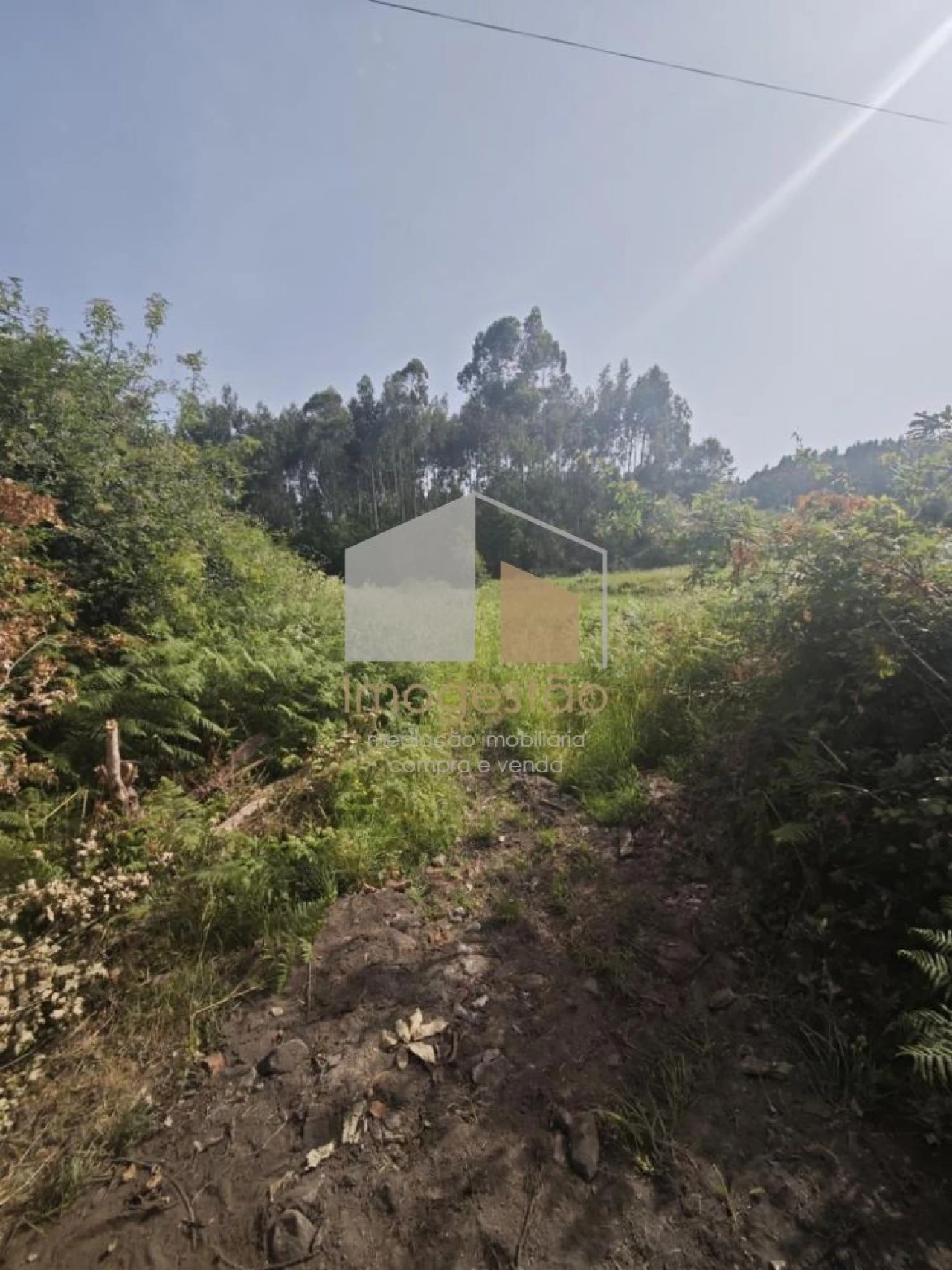 Terreno para Venda em Sapardos Foto 3