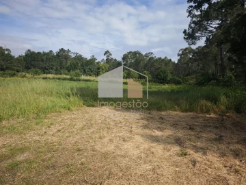 Terreno para Venda em Campos e Vila Meã