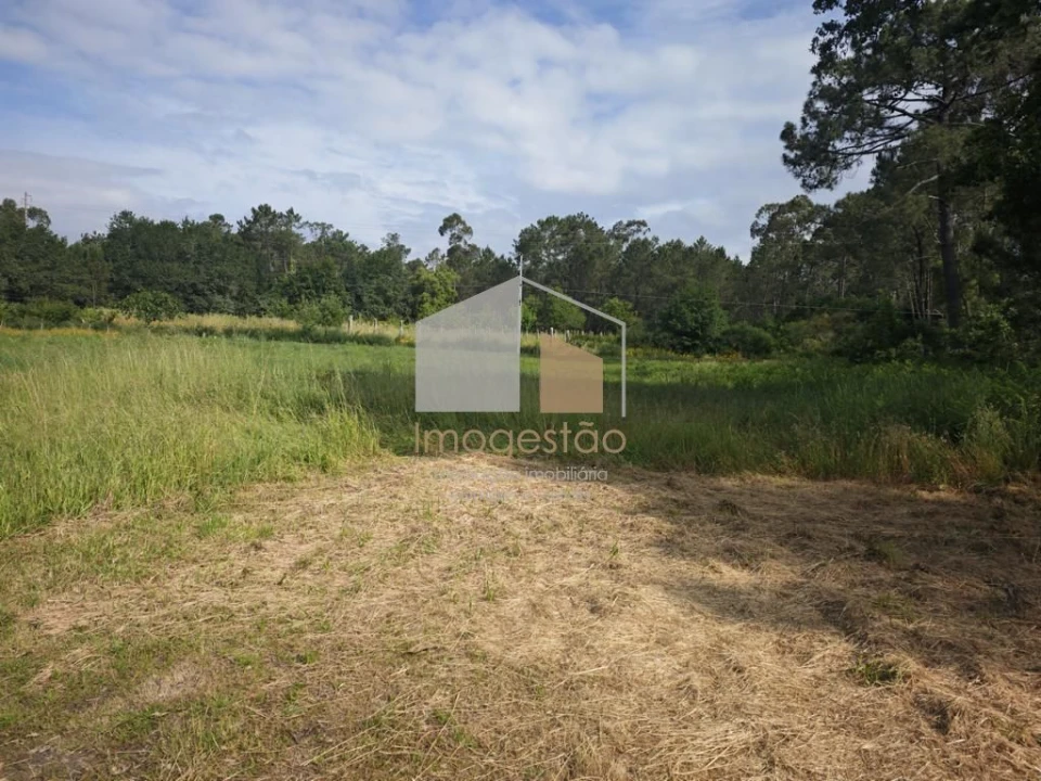 Terreno para Venda em Campos e Vila Meã Foto 2