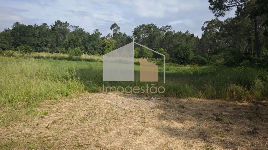 Terreno para Venda em Campos e Vila Meã