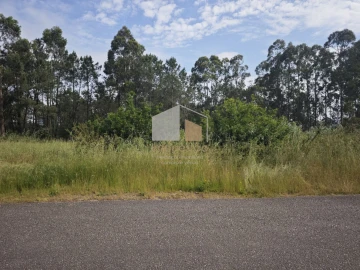 Terreno para Venda em São Pedro da Torre