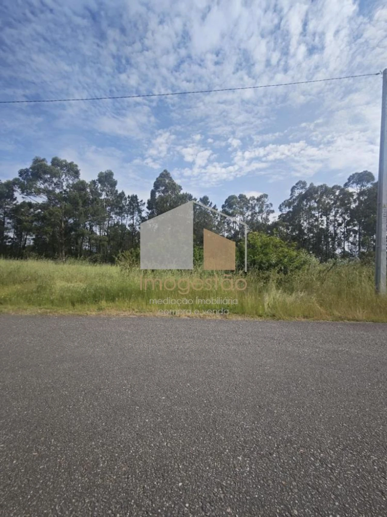 Terreno para Venda em São Pedro da Torre Foto 5
