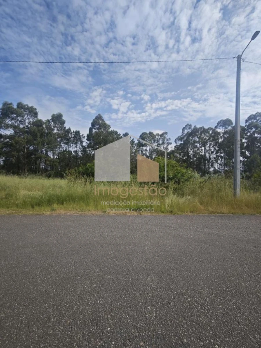 Terreno para Venda em São Pedro da Torre Foto 4