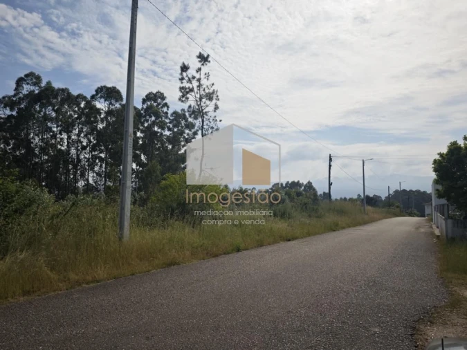 Terreno para Venda em São Pedro da Torre Foto 3