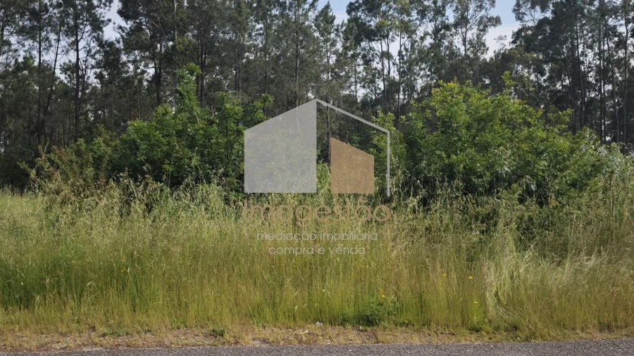 Terreno para Venda em São Pedro da Torre