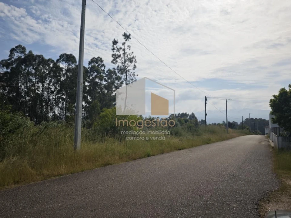 Terreno para Venda em São Pedro da Torre Foto 3