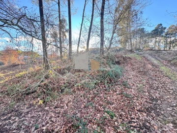 Terreno para Venda em Campos e Vila Meã