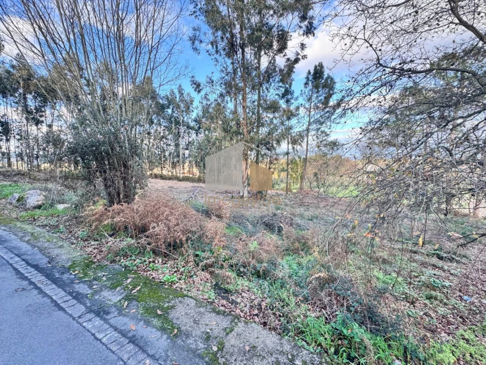 Terreno para Venda em Campos e Vila Meã Foto 3