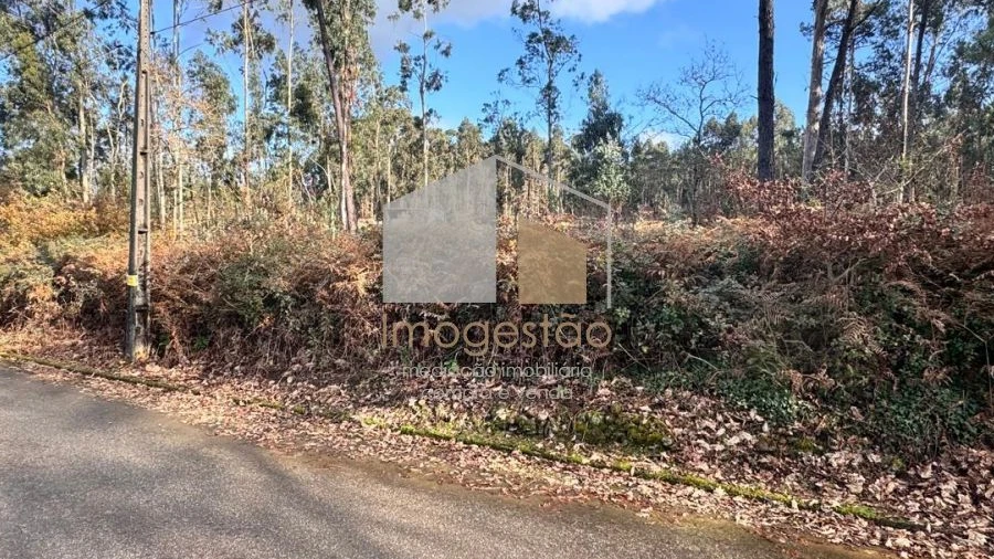 Terreno para Venda em Campos e Vila Meã