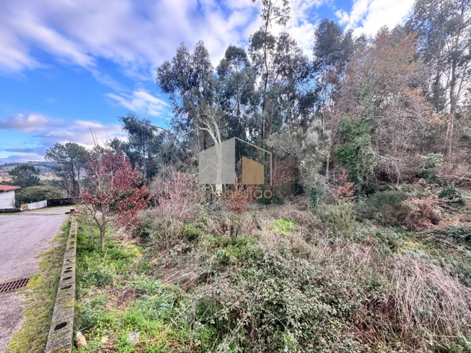 Terreno para Venda em Reboreda e Nogueira Foto 1