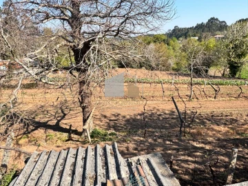 Quinta T2 para Venda em Cornes