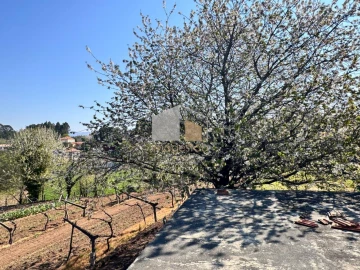 Quinta T2 para Venda em Cornes