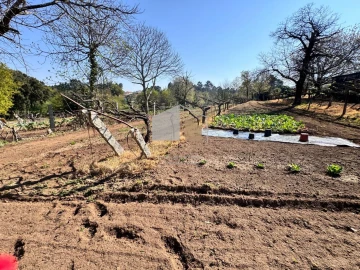 Quinta T2 para Venda em Cornes