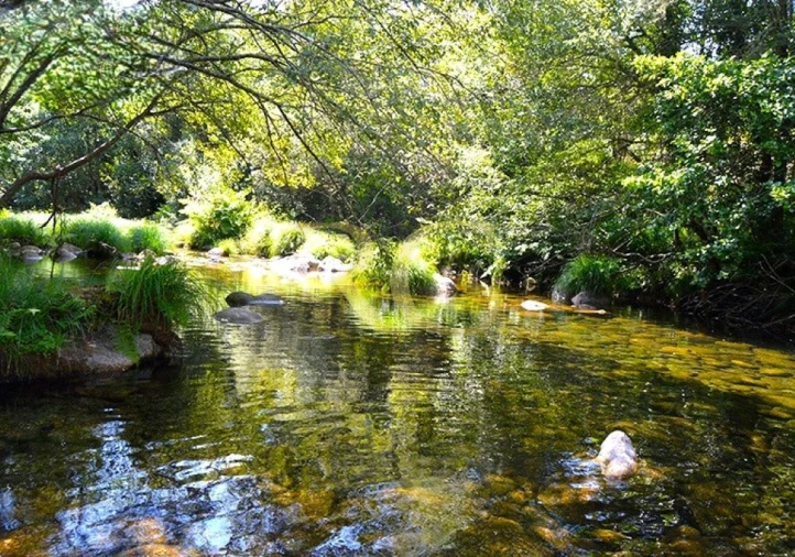 Terreno para Venda em Entre Ambos-Os-Rios, Ermida e Germil Foto 14