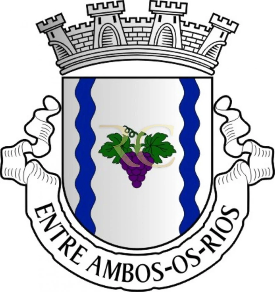 Terreno para Venda em Entre Ambos-Os-Rios, Ermida e Germil Foto 26