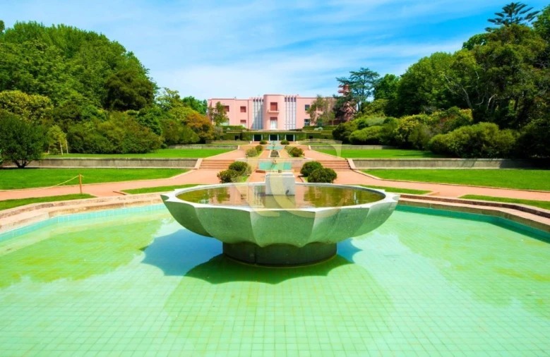 Apartamento T3 para Venda em Lordelo do Ouro e Massarelos Foto 10