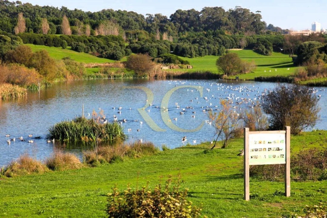 Apartamento T3 para Venda em Lordelo do Ouro e Massarelos Foto 11