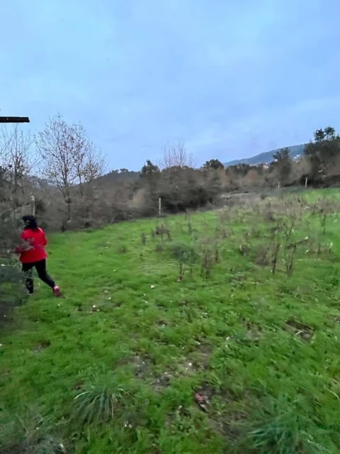 Terreno para Venda em Souselo