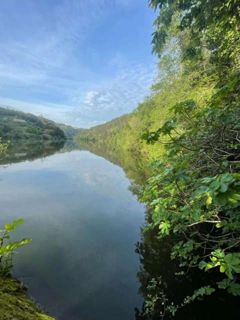 Terreno para Venda em Souselo
