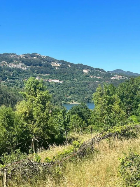 Terreno para Venda em Souselo