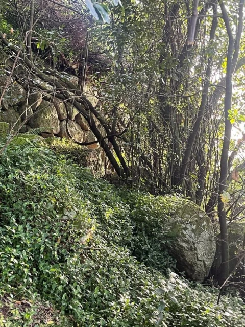 Terreno para Venda em Souselo