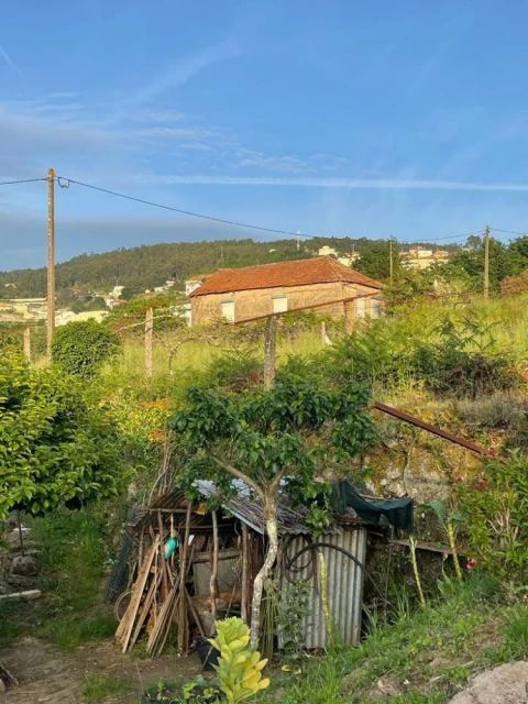 Terreno para Venda em Souselo